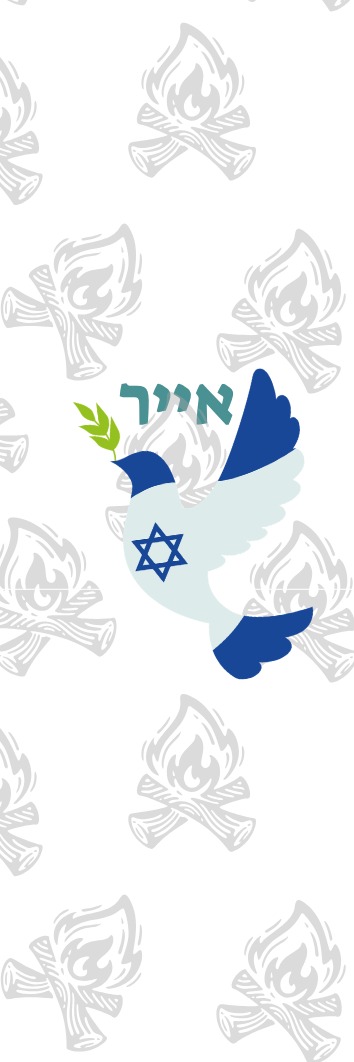 אייר